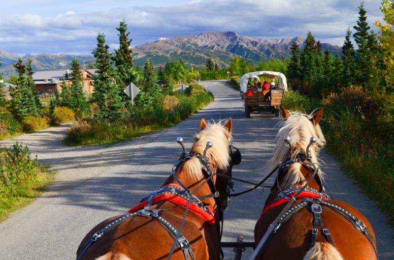 Black Diamond Covered Wagon Adventure